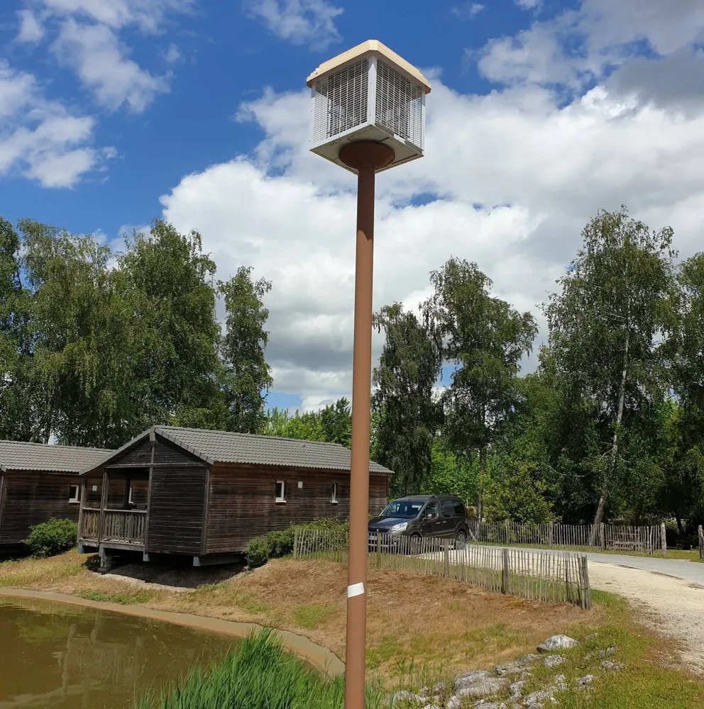 désinsectisation à Lourdes