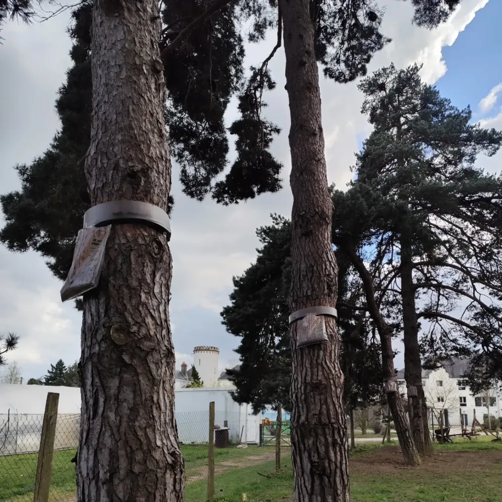 nos réalisations (5)