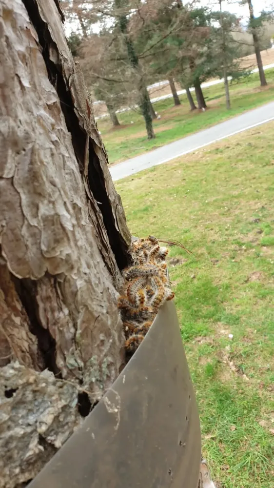 nos réalisations (8)