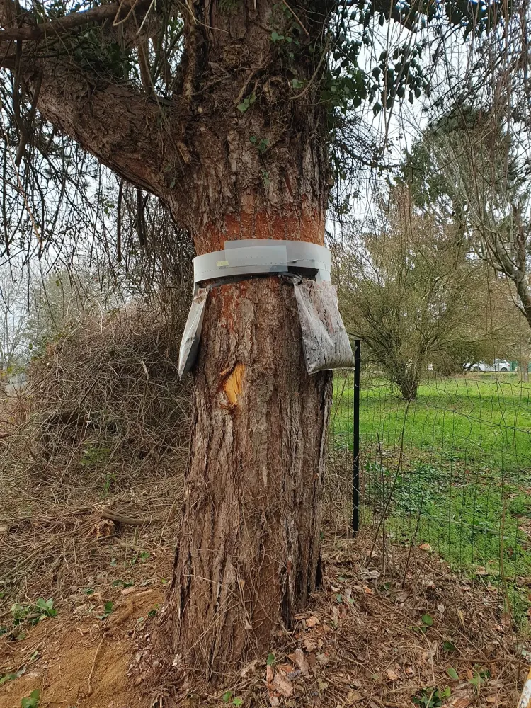 nos réalisations (12)